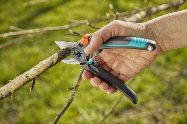 Pruning tools