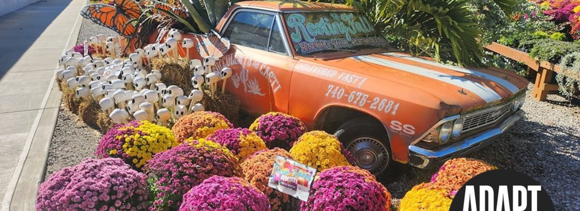 Adapt or Die: de evolutie van tuincentra volgens drie wereldwijde experts