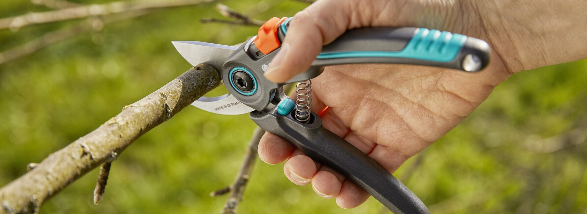 Pruning tools