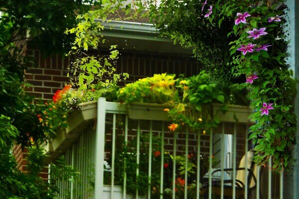 Terrasse & Balcon