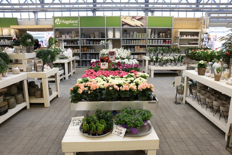 Blick auf das Gartencenter 1