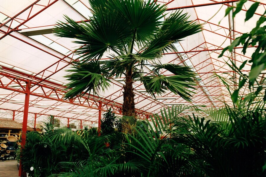 À l'intérieur de la verdure de Heerhugowaard