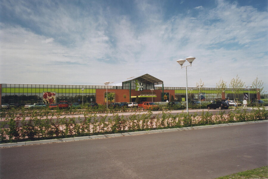 Garden area view