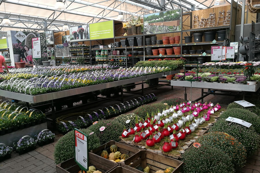 Garden Center View 1