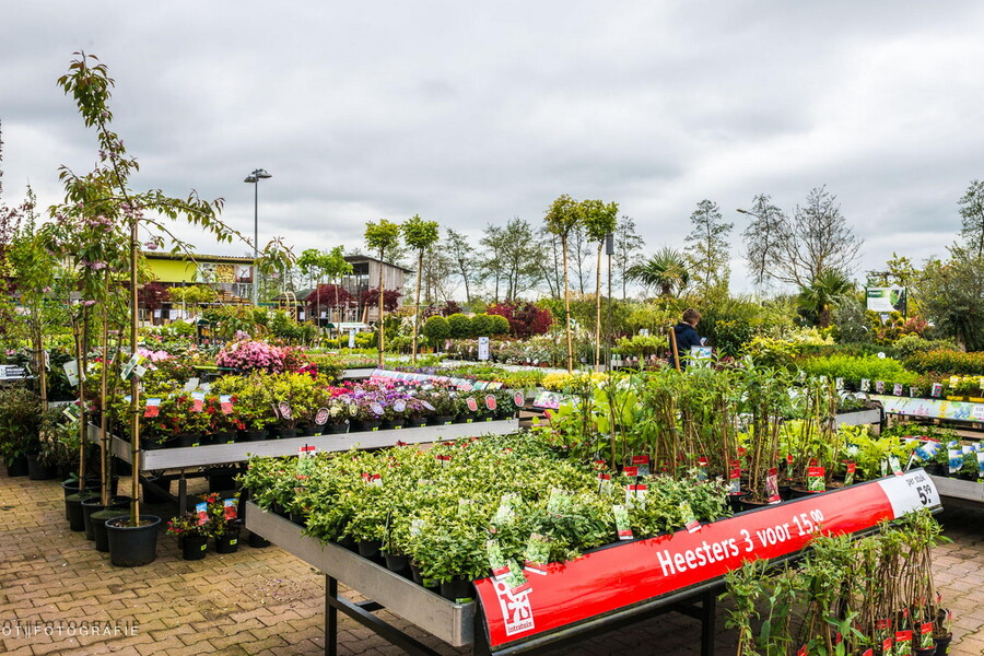 Nieuwbouw Intratuin, Drachten 6