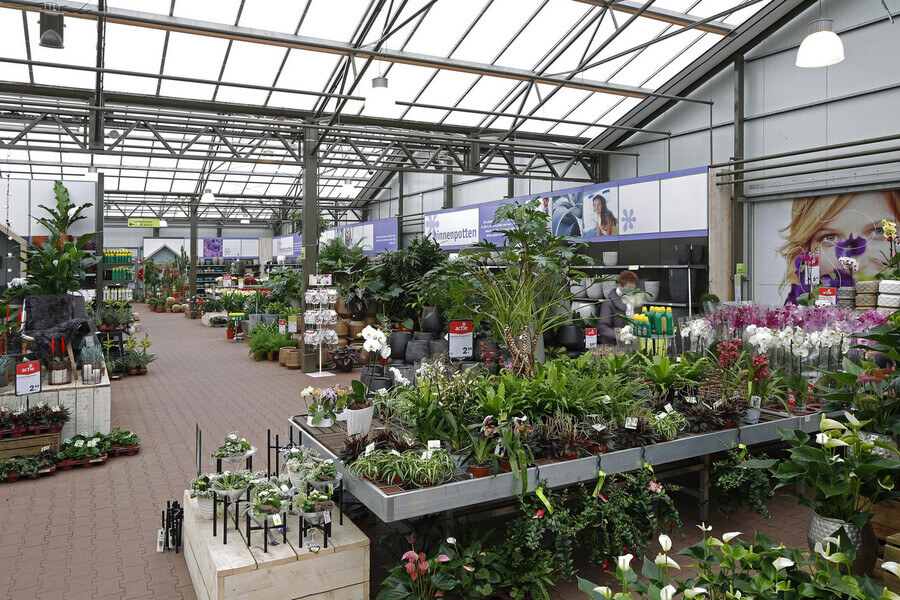 Flowers And Plants Area