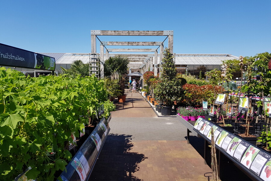 Vue sur le jardin extérieur