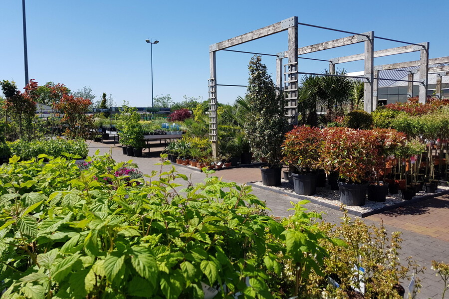 Vue sur le jardin extérieur 1