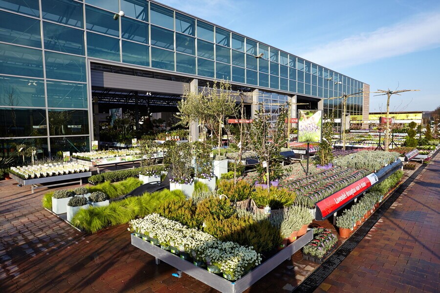 Nieuwbouw Intratuin, Maastricht 2