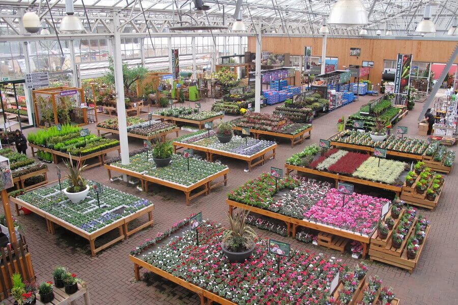 Top View Of The Garden