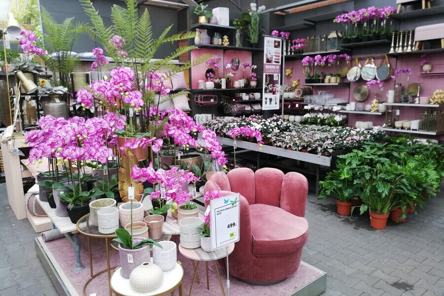 Garden Center