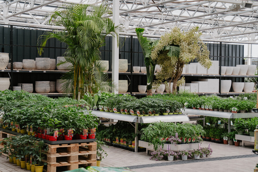 Nieuw tuincentrum voor Fronda in 2026 Barcelona (SP)