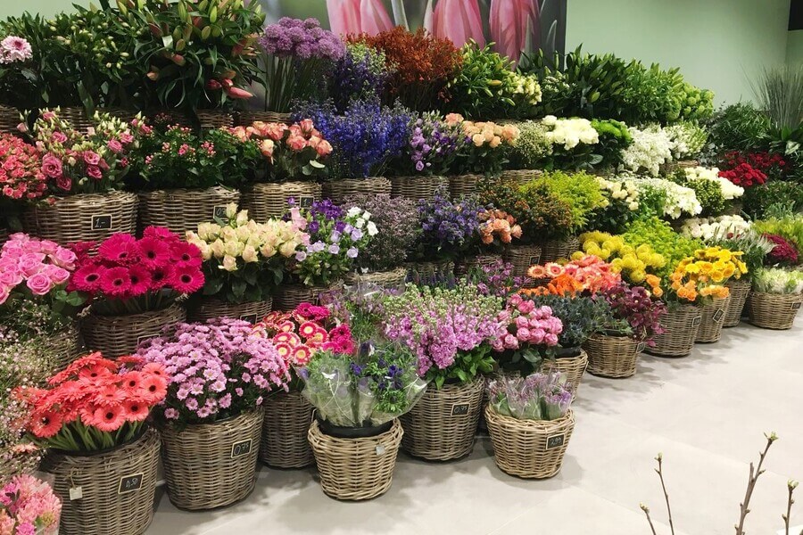 Assortiment de jardinerie