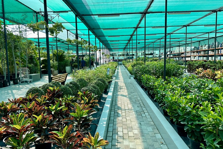 Garden Center Acacia Dubai (Dubai) 2023