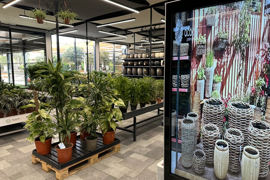 Garden Center Acacia Dubai (Dubai) 2023