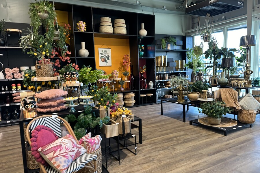Acheter l'agencement de magasin pour jardineries