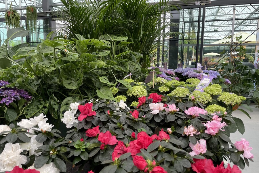 Tuinzaken Tuincentrum Abbing Buitenhof
