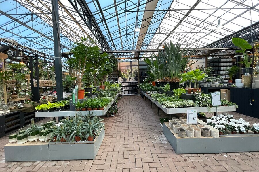 Garden Center Assortment