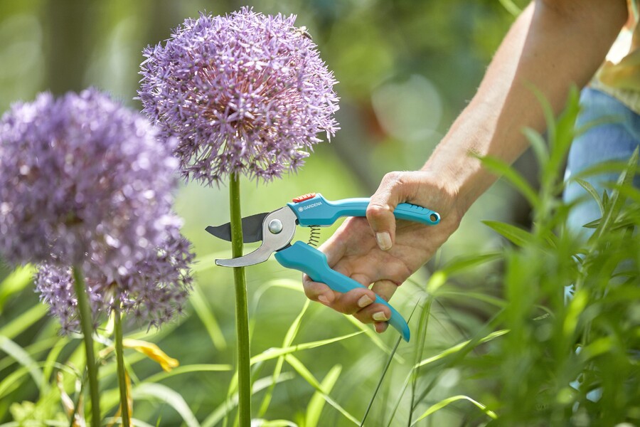 Pruning tools